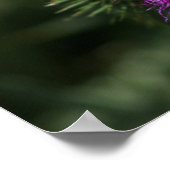 Poster d'abeille sur le chardon de lait (Coin)