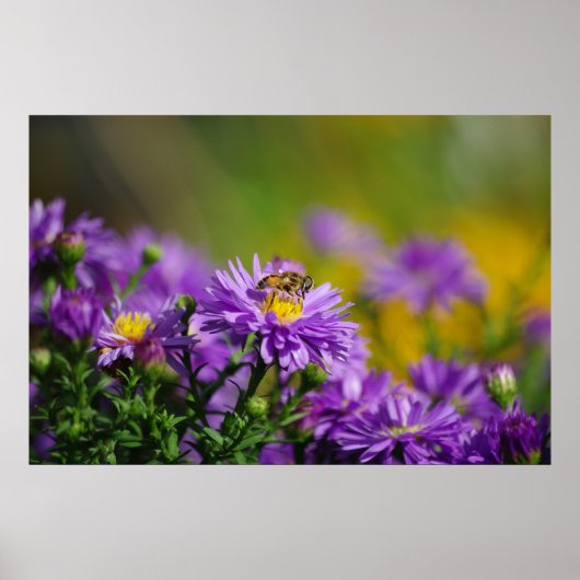 Poster d'abeilles (Devant)