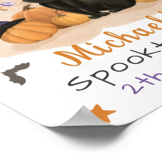 Poster d'accueil pour la fête d'anniversaire d'Hal (Coin)