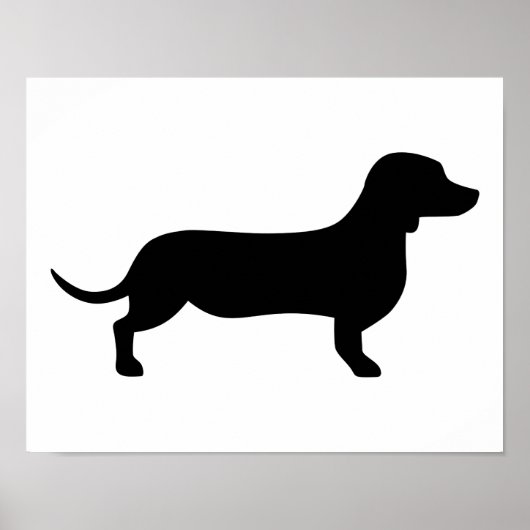 Poster Dachshund (Devant)