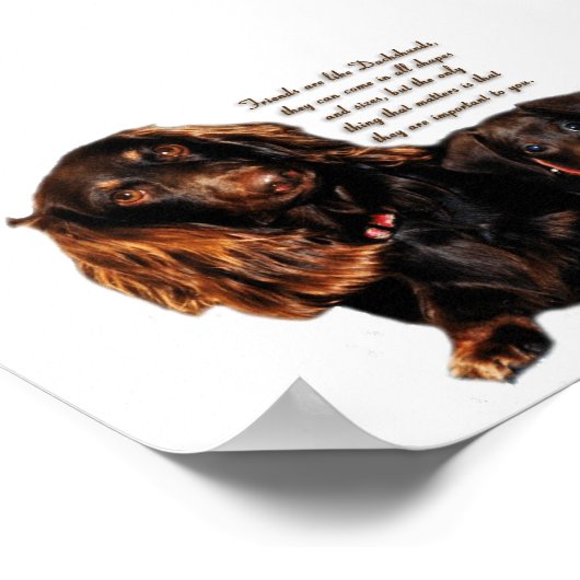 Poster Dachshund (Coin)