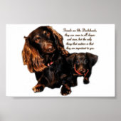 Poster Dachshund (Devant)