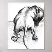 Poster Dachshund (Devant)
