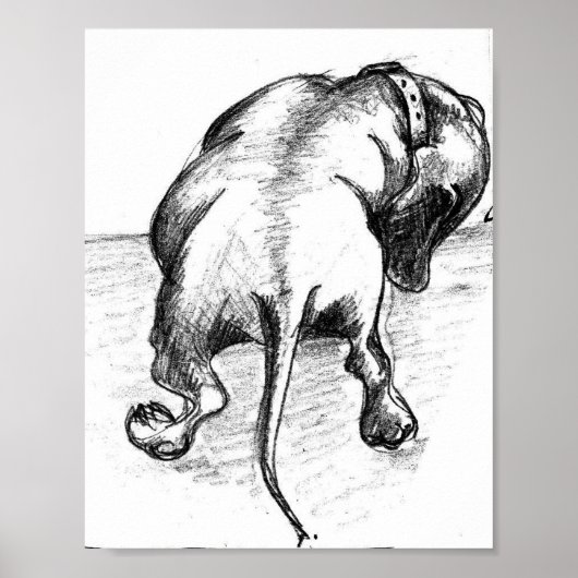 Poster Dachshund (Devant)