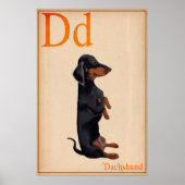 Poster Dachshund (Devant)