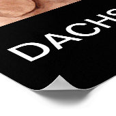Poster Dachshund (Coin)