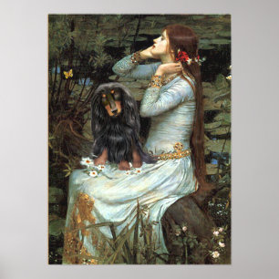 Poster Dachshund (à poil long BT) - Ophélie assise
