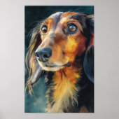 Poster Dachshund à poil long en gros plan (Devant)