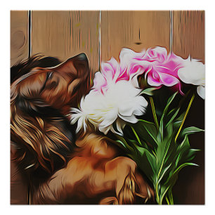 Poster Dachshund Allongé Sur Le Sol En Bois