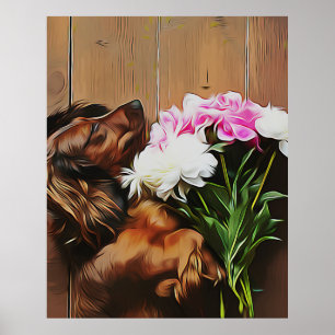 Poster Dachshund Allongé Sur Le Sol En Bois
