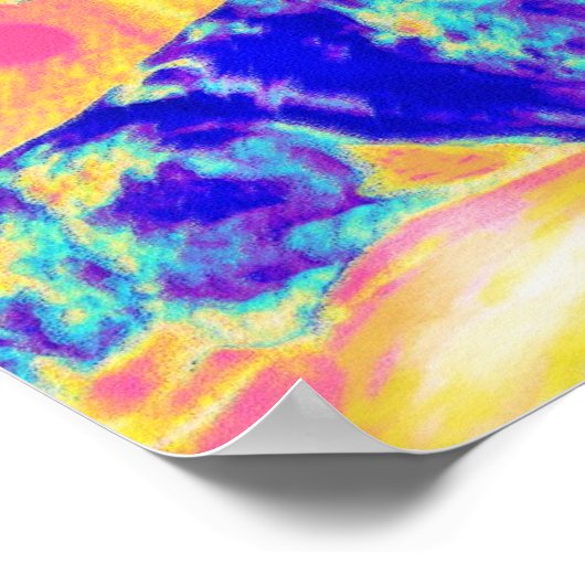 Poster dachshund arc en ciel (Coin)