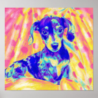 Poster dachshund arc en ciel