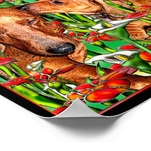 Poster Dachshund Art (Coin)