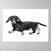 Poster Dachshund / Art Mur (Devant)