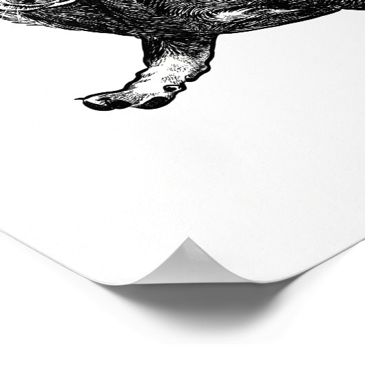 Poster Dachshund / Art Mur (Coin)