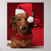 Poster Dachshund Assis Devant Un Cadeau De Noël (Devant)