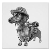 Dachshund aventurier