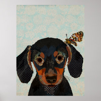 POSTER DACHSHUND & BUTTERFLY