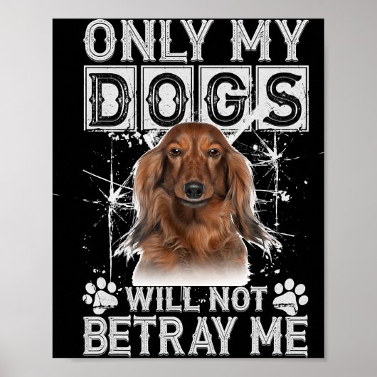 Poster Dachshund Chien - Ne Me Traitera Pas Les Cadeaux (Devant)