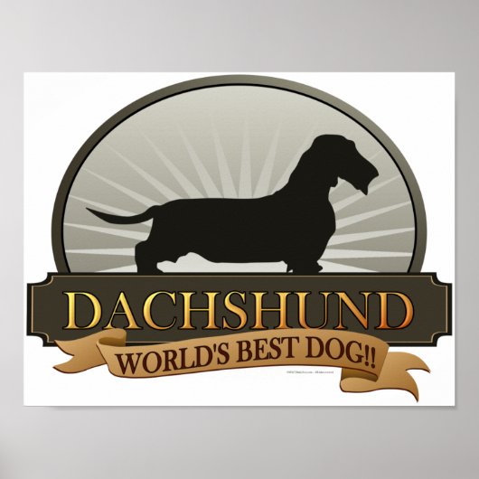 Poster Dachshund [Fil à cheveux] (Devant)