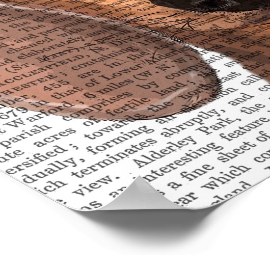 Poster Dachshund Illustration Plain (Coin)