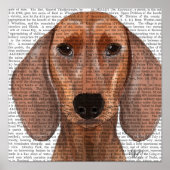 Poster Dachshund Illustration Plain (Devant)