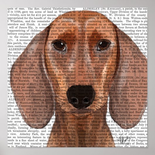 Poster Dachshund Illustration Plain (Devant)