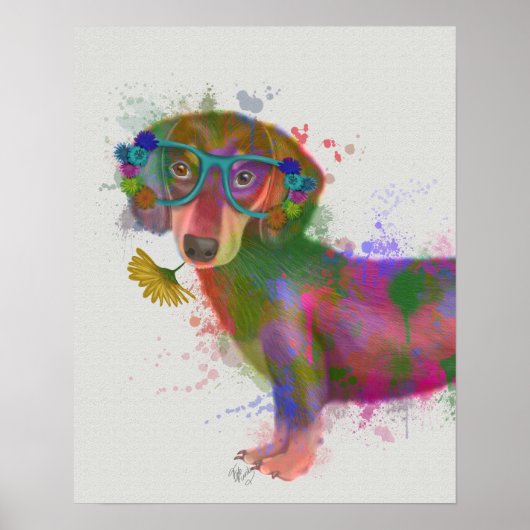 Poster Dachshund & Lunettes Rainbow Splash (Devant)