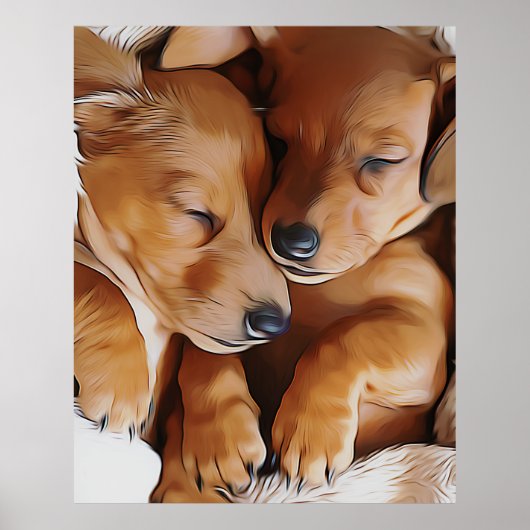 Poster Dachshund mignon Dachshund Chiots Dachshund Annive (Devant)
