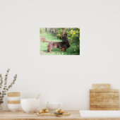 Poster Dachshund miniature à cheveux longs 1 (Cuisine)