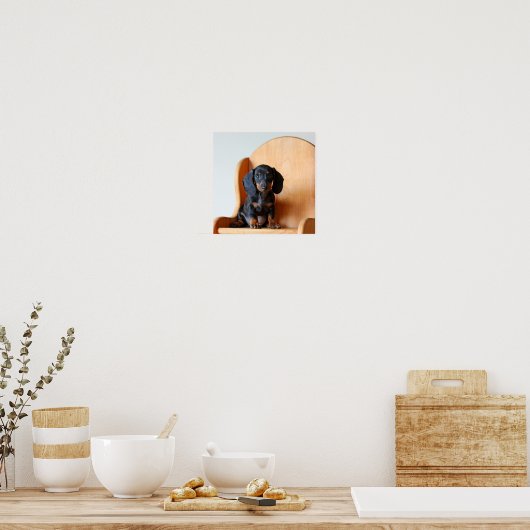 Poster Dachshund pup (Cuisine)