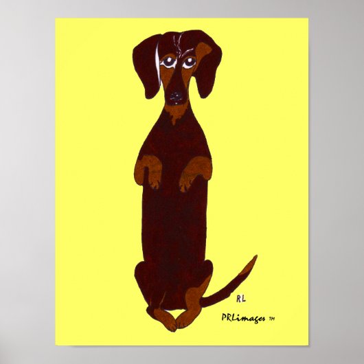 Poster Dachshund Sidney Imprimer (Devant)