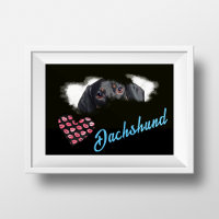 Dachshund Yeux couleur solide