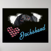 Poster Dachshund Yeux couleur solide (Devant)