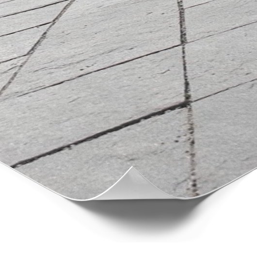 Poster dachu2 (Coin)