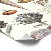 Poster d'Adolphe Millot Legumes et Plantes Potager (Coin)