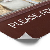 Poster d'adoption de chats personnalisable (Coin)