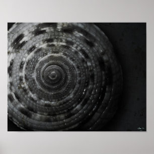 Poster d'affichage BW à cadran (avant)