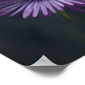 Poster d'affiche d'art à fleurs violet (Coin)