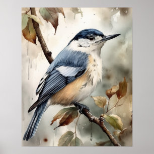 Poster d'affiche d'art d'Oiseau Nuthatch à poitrin