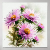 Poster d'affiche d'art rose Aster (Devant)