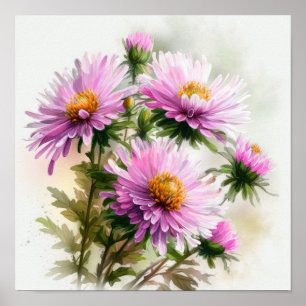 Poster d'affiche d'art rose Aster