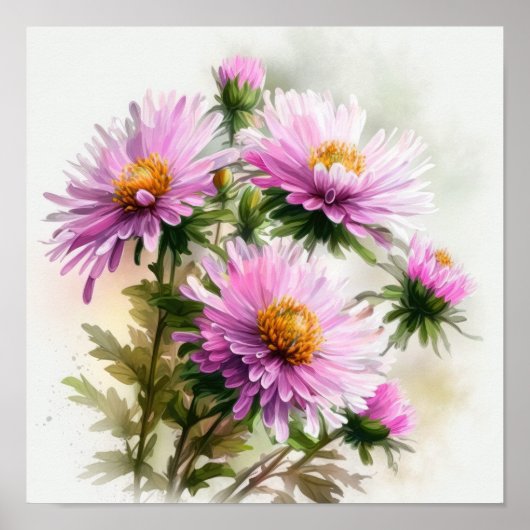 Poster d'affiche d'art rose Aster (Devant)