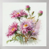 Poster d'affiche d'art rose Aster (Devant)