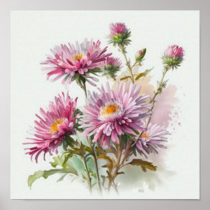 Poster d'affiche d'art rose Aster