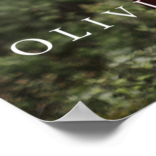 Poster d'Affiche de bienvenue mariage avec photo b (Coin)