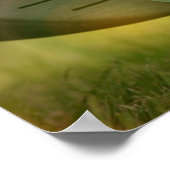 Poster d'affiche de golf (Coin)