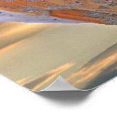 Poster d'affiche de la Chouette d'Amérique Imprime (Coin)