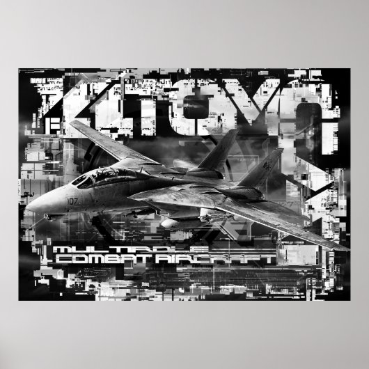 Poster d'affiche de la valeur de Tomcat F-14 (Matt (Devant)