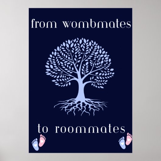 Poster d'affiche des compagnons de chambre (Devant)